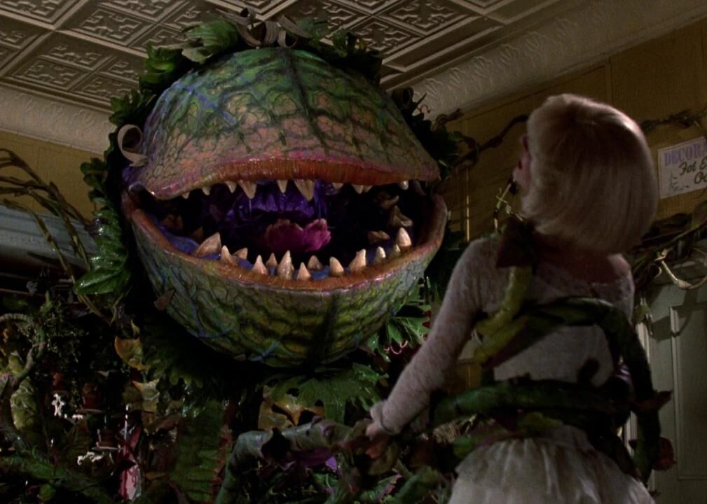 #50. Little Shop of Horrors (1986)